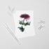 Dark Pink Chrysanthemum Postcard